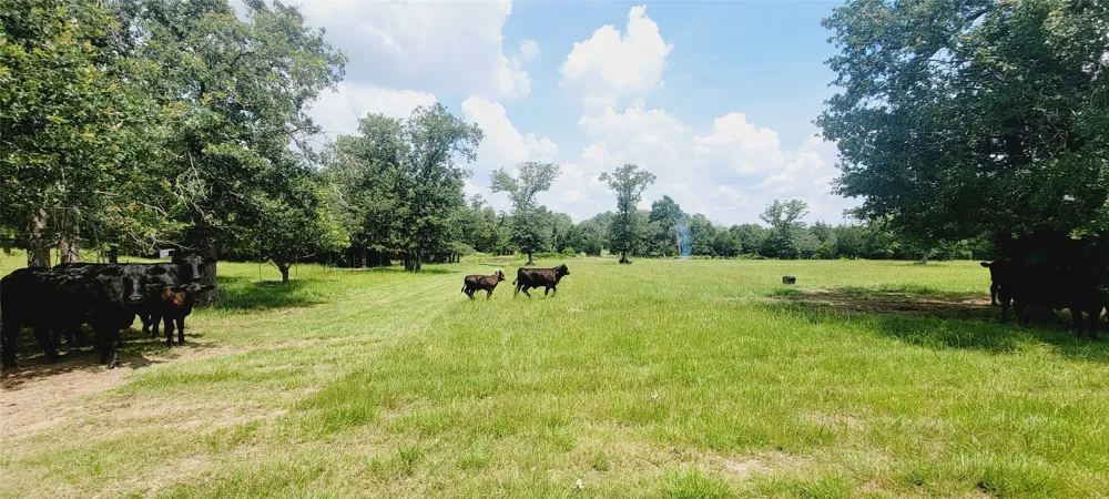 3321 County Road 457 Thorndale, TX 76577