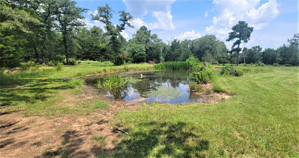 3321 County Road 457 Thorndale, TX 76577