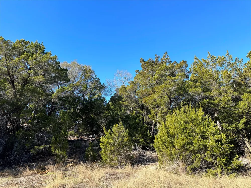 4604 Liberty Lane Lago Vista, TX 78645