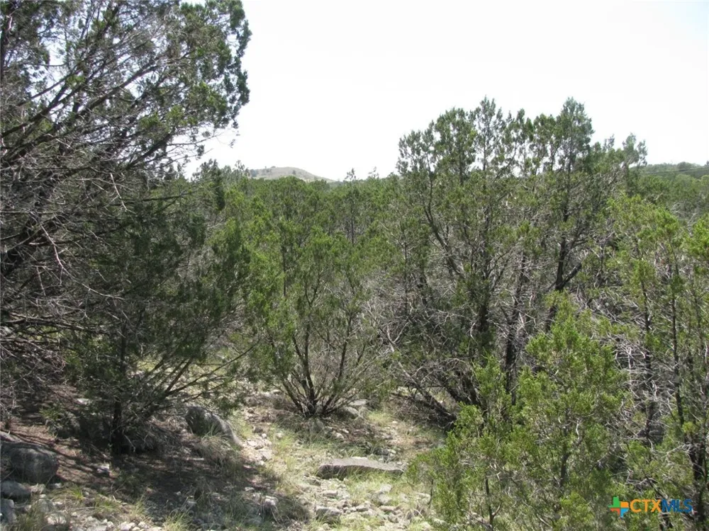 11 Private Road Evant, TX 76525