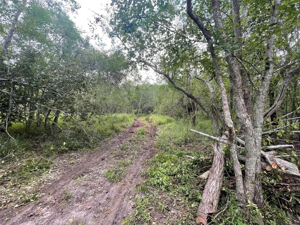 7912 Avenue C Santa Fe, TX 77510