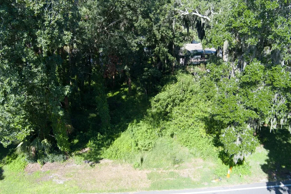 2214 NEEDLE PALM DRIVE Edgewater, FL 32141