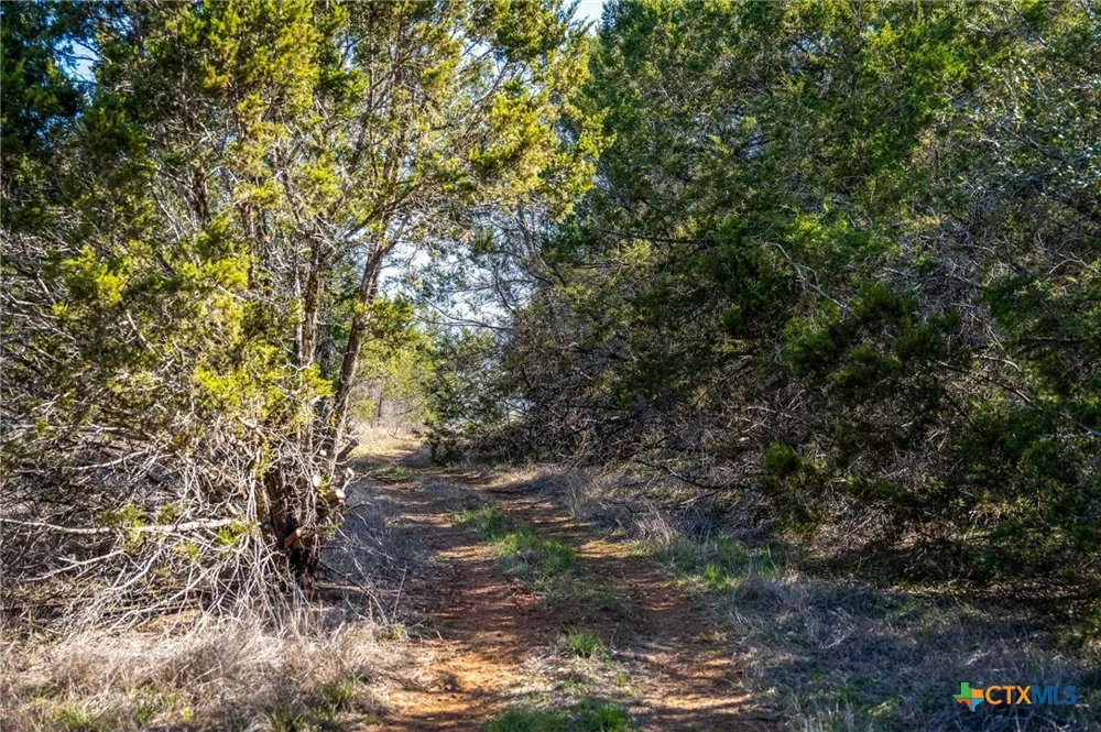 487 Old Bear Creek Road New Braunfels, TX 78132
