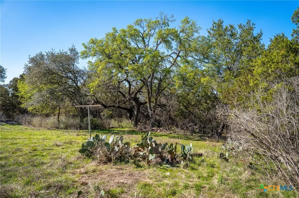 487 Old Bear Creek Road New Braunfels, TX 78132