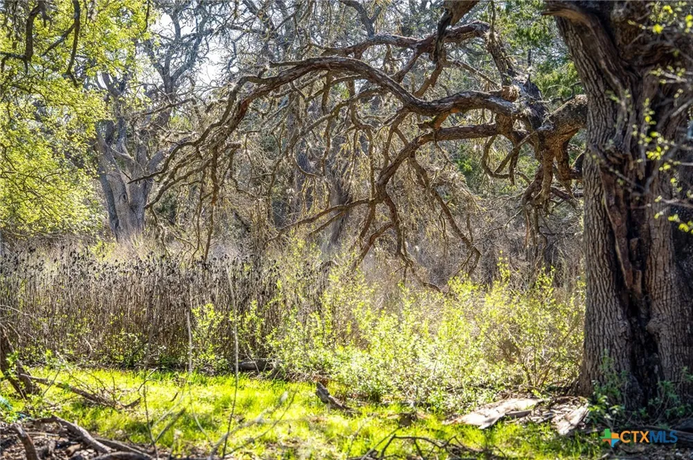 487 Old Bear Creek Road New Braunfels, TX 78132