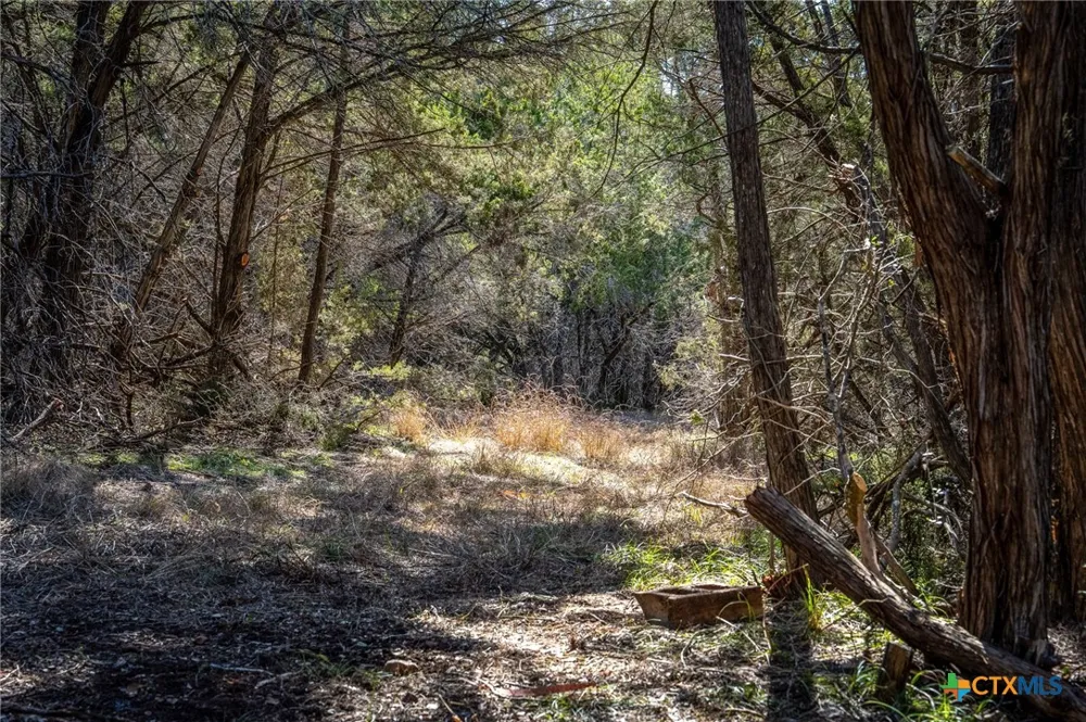487 Old Bear Creek Road New Braunfels, TX 78132