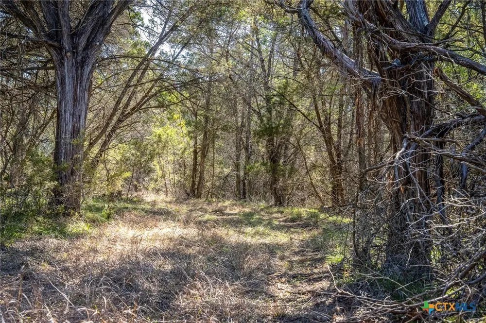 487 Old Bear Creek Road New Braunfels, TX 78132