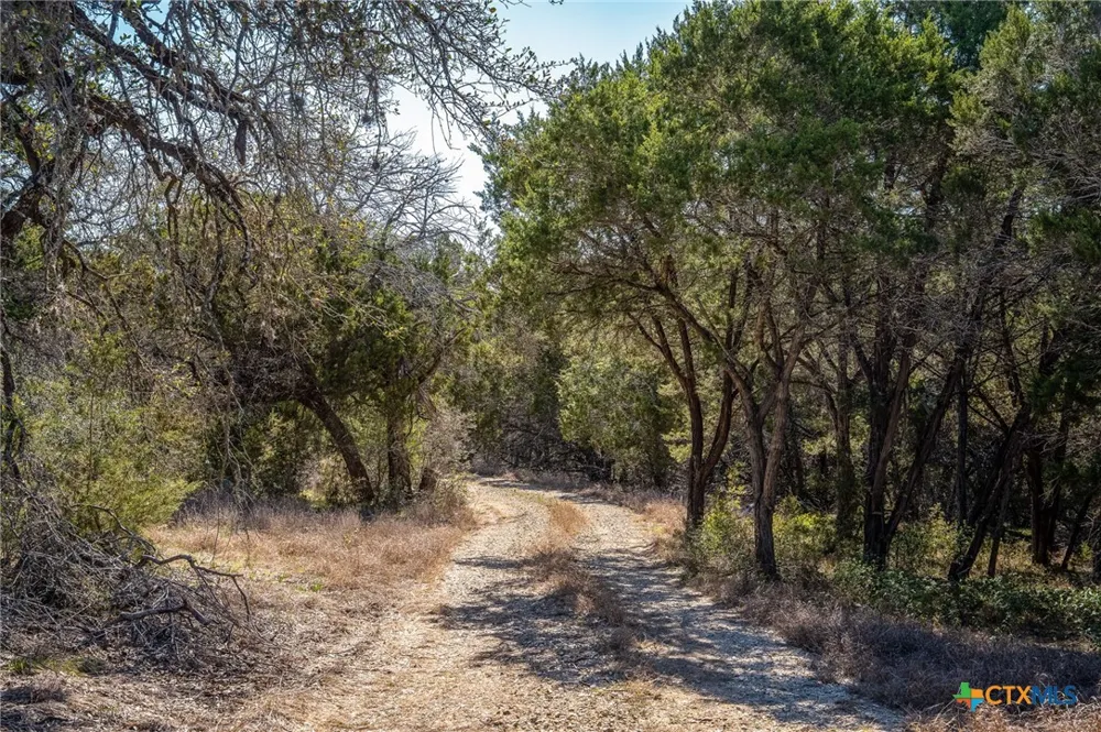 487 Old Bear Creek Road New Braunfels, TX 78132