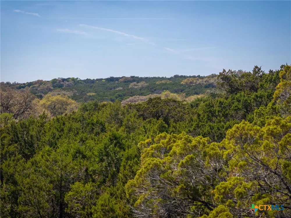 487 Old Bear Creek Road New Braunfels, TX 78132