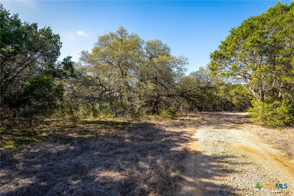 487 Old Bear Creek Road New Braunfels, TX 78132