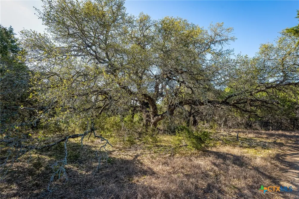 487 Old Bear Creek Road New Braunfels, TX 78132
