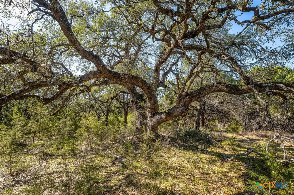 487 Old Bear Creek Road New Braunfels, TX 78132