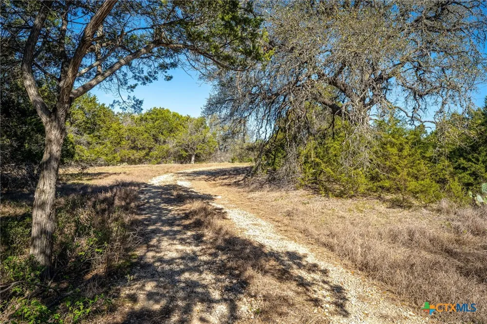 487 Old Bear Creek Road New Braunfels, TX 78132