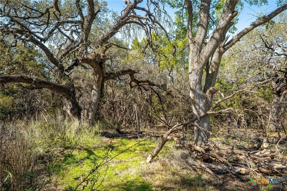 487 Old Bear Creek Road New Braunfels, TX 78132