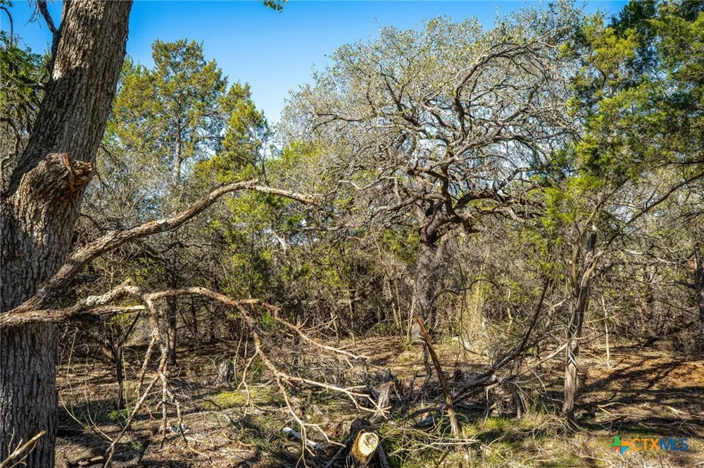 487 Old Bear Creek Road New Braunfels, TX 78132