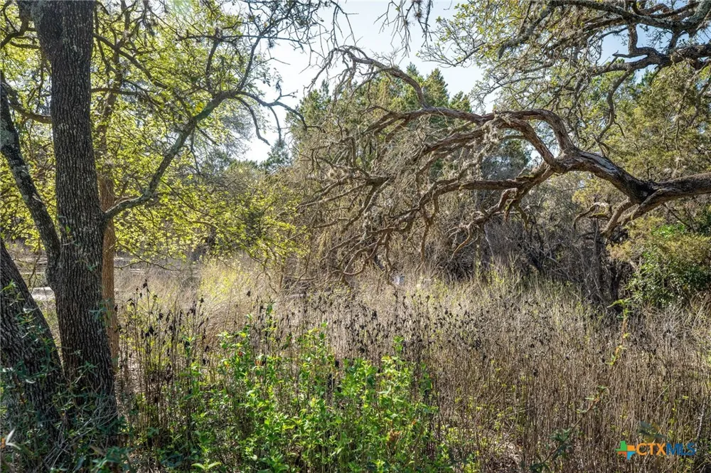 487 Old Bear Creek Road New Braunfels, TX 78132