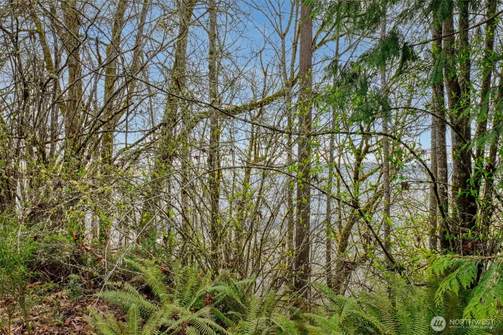 2401 NE Solar View Court Poulsbo, WA 98345