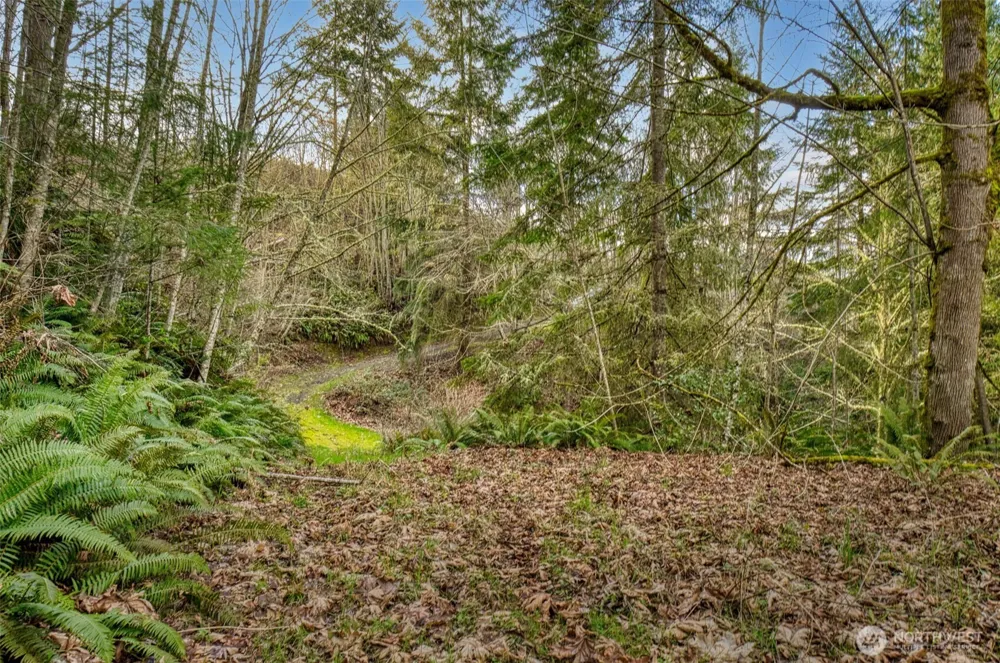 2401 NE Solar View Court Poulsbo, WA 98345
