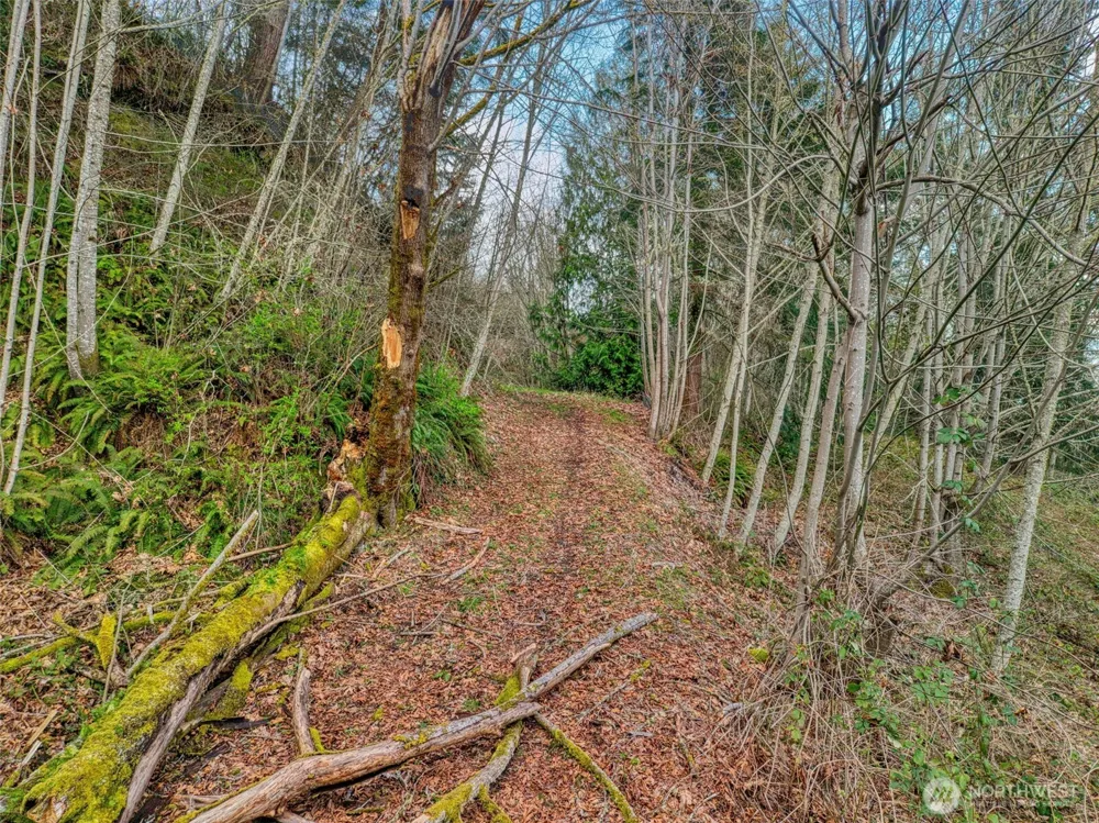 2401 NE Solar View Court Poulsbo, WA 98345