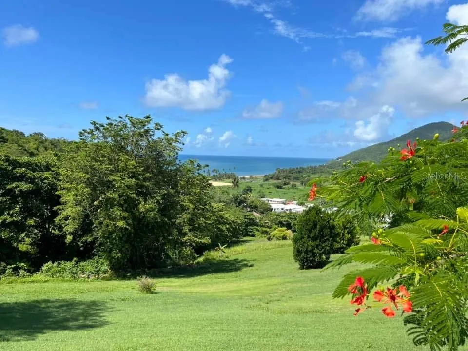 901 AMAZING VIEW HOUSE Maunabo, PR 00707
