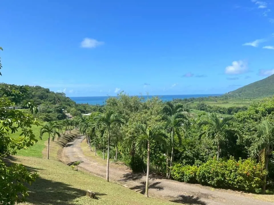 901 AMAZING VIEW HOUSE Maunabo, PR 00707
