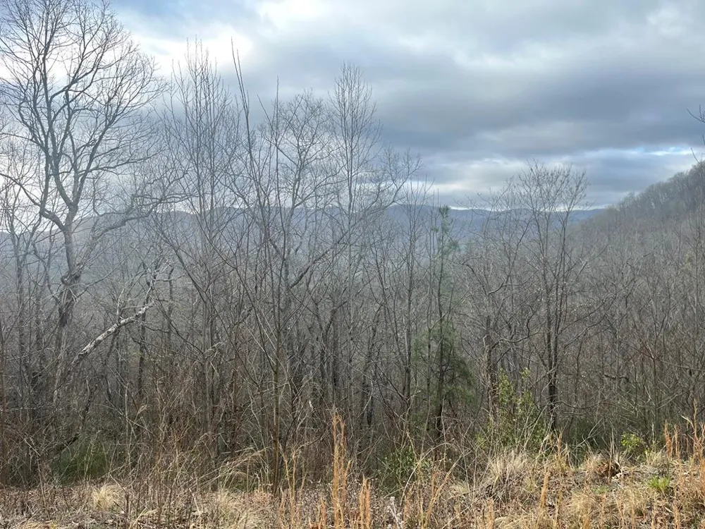 Address Not Shown Hiawassee, GA 30546