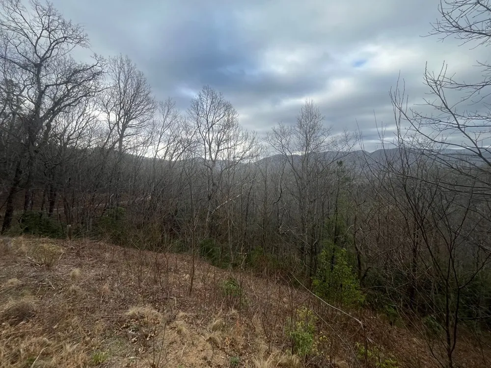 Address Not Shown Hiawassee, GA 30546