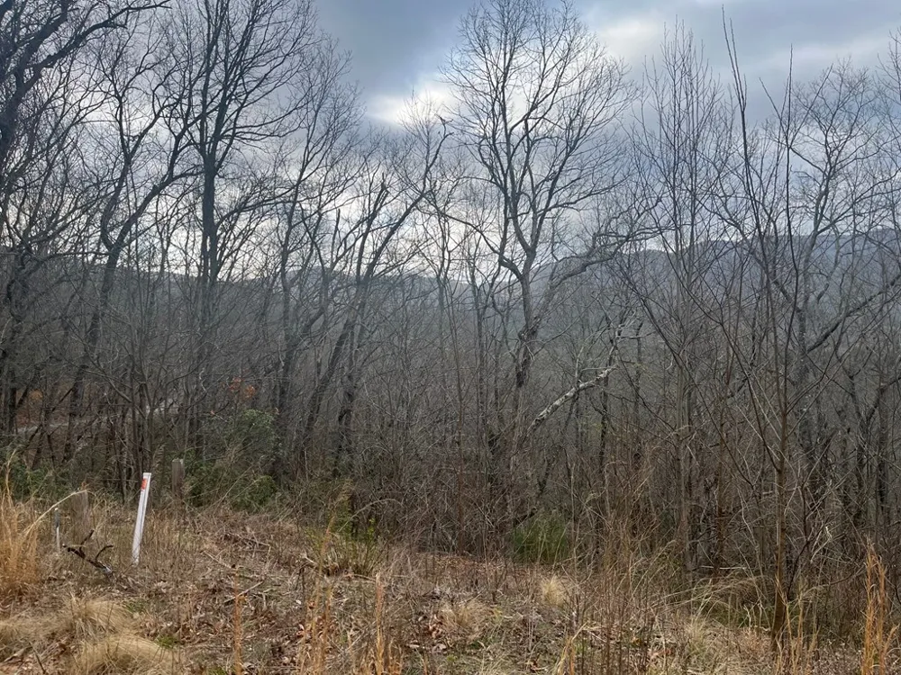Address Not Shown Hiawassee, GA 30546