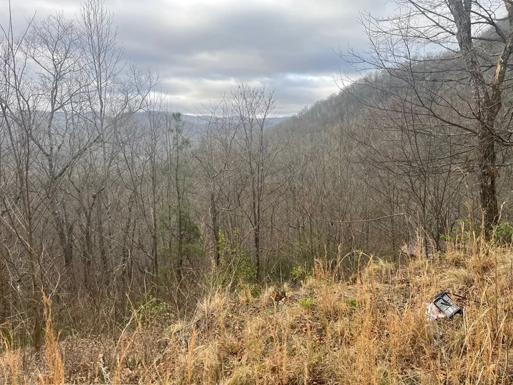 Address Not Shown Hiawassee, GA 30546