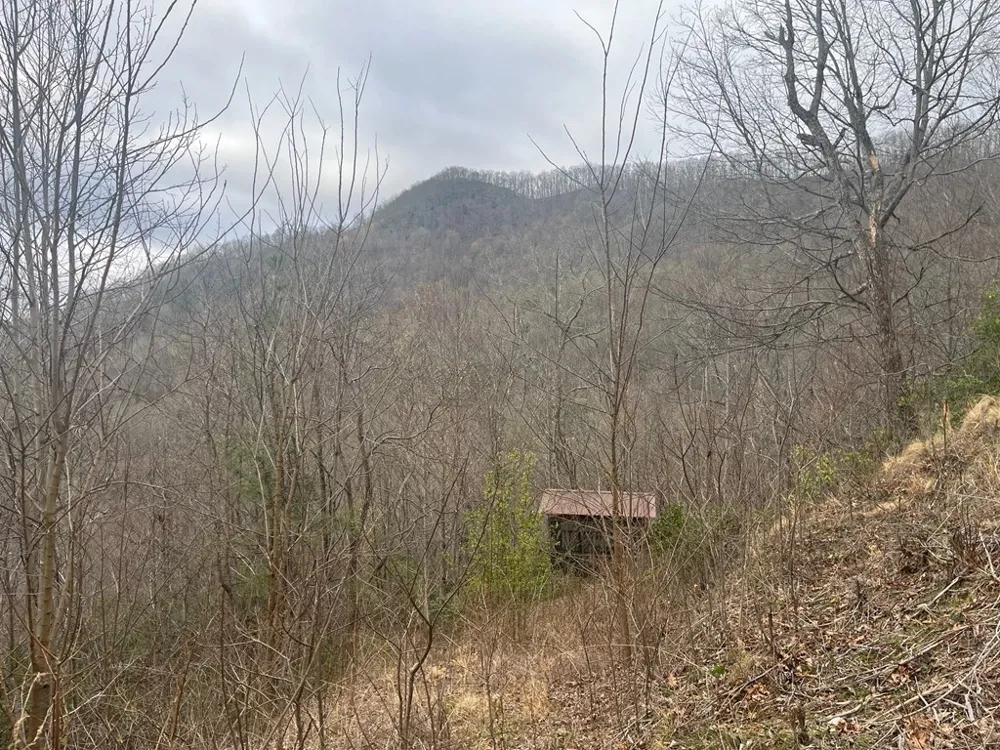 Address Not Shown Hiawassee, GA 30546
