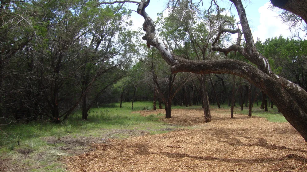 36 Travis Oaks Drive Marble Falls, TX 78654