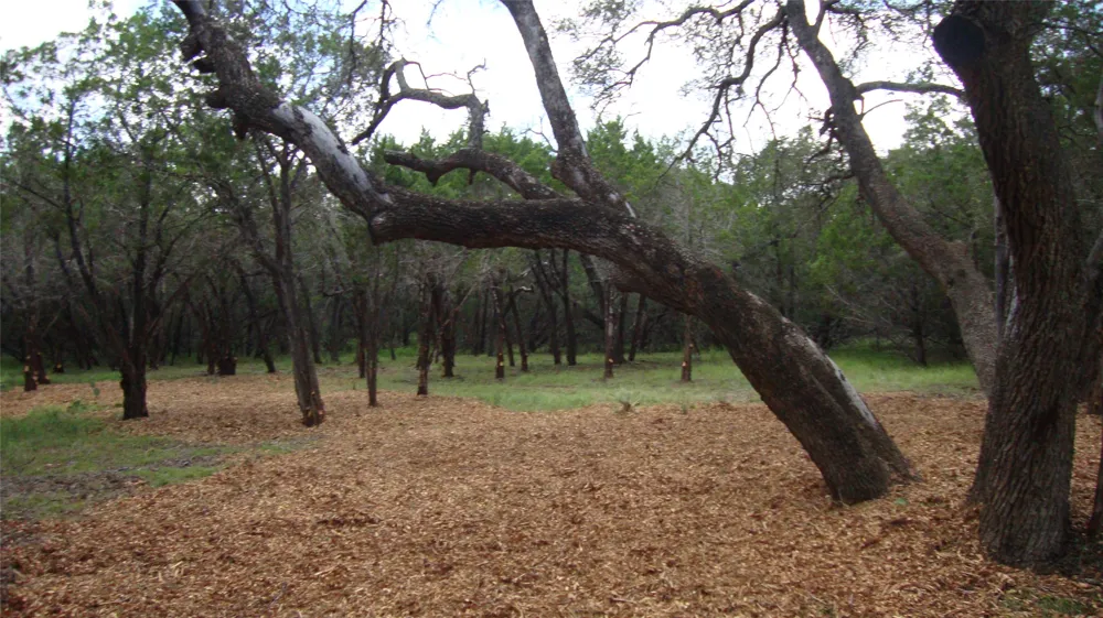 36 Travis Oaks Drive Marble Falls, TX 78654