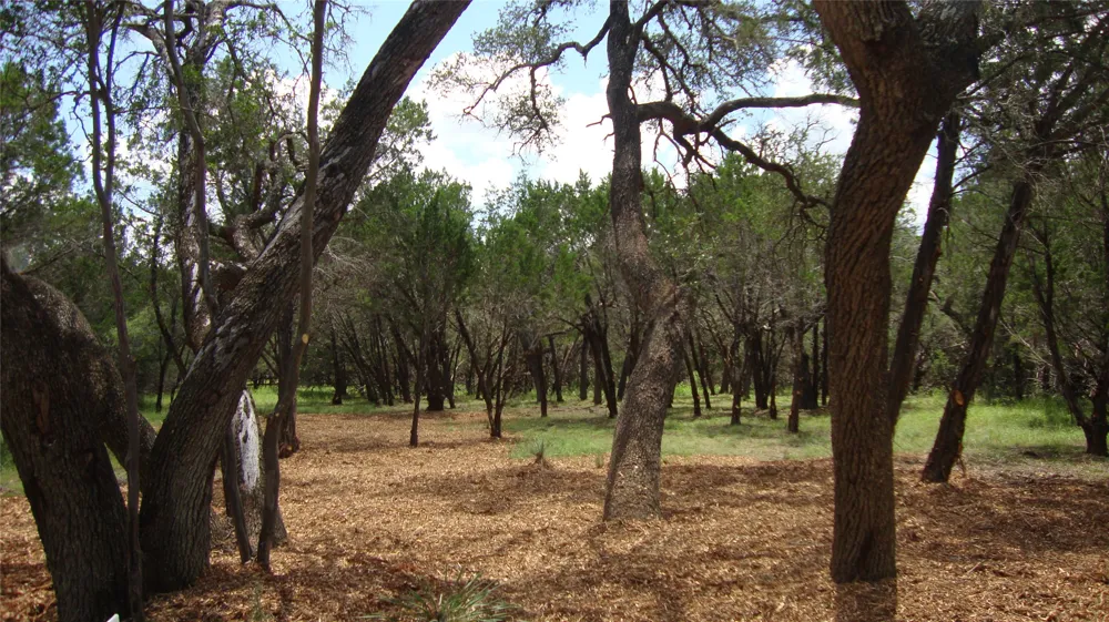 36 Travis Oaks Drive Marble Falls, TX 78654