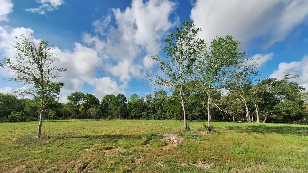 1284 Beaver Lake Drive Caldwell, TX 77836