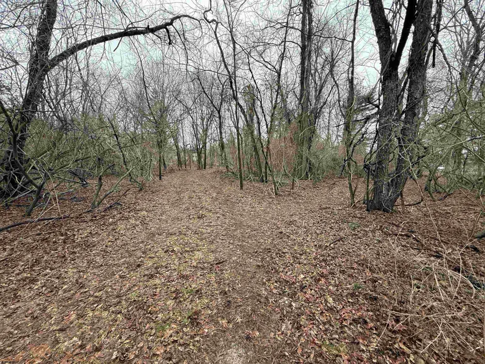 Waterford Road Hammonton, NJ 08037