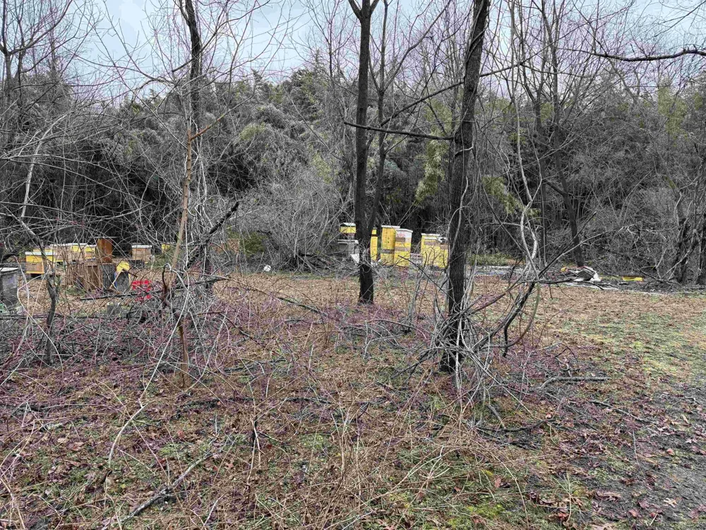 Waterford Road Hammonton, NJ 08037