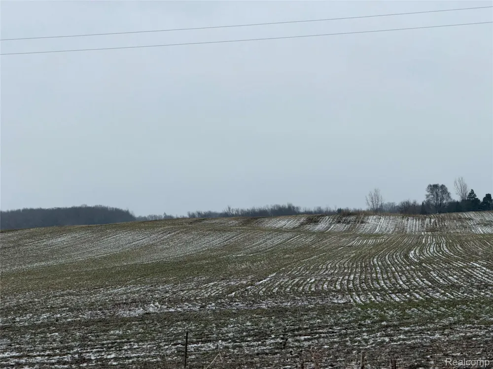 3160 E Sanilac Road Dayton Township, MI 48741