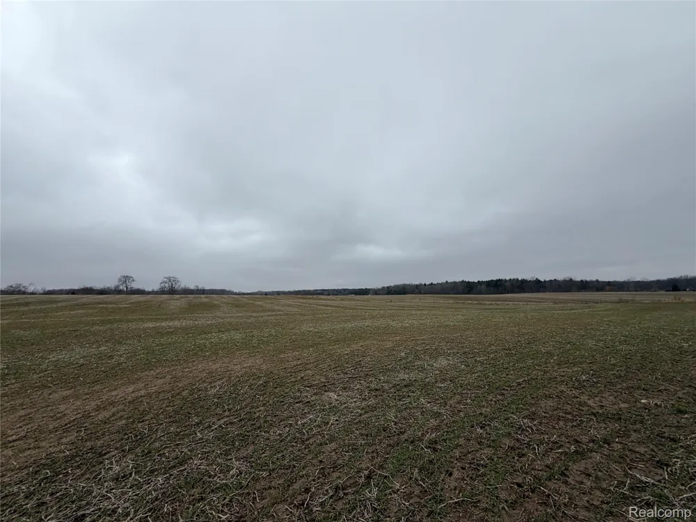 3160 E Sanilac Road Dayton Township, MI 48741