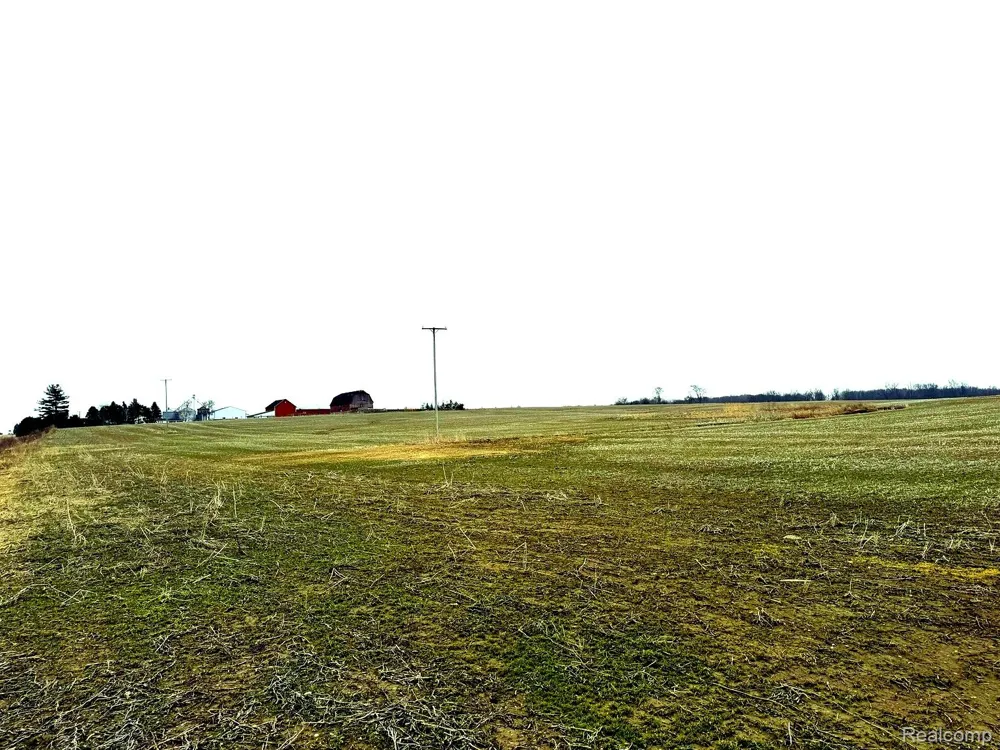3160 E Sanilac Road Dayton Township, MI 48741