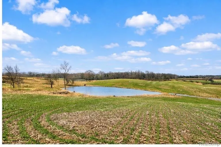 3160 E Sanilac Road Dayton Township, MI 48741