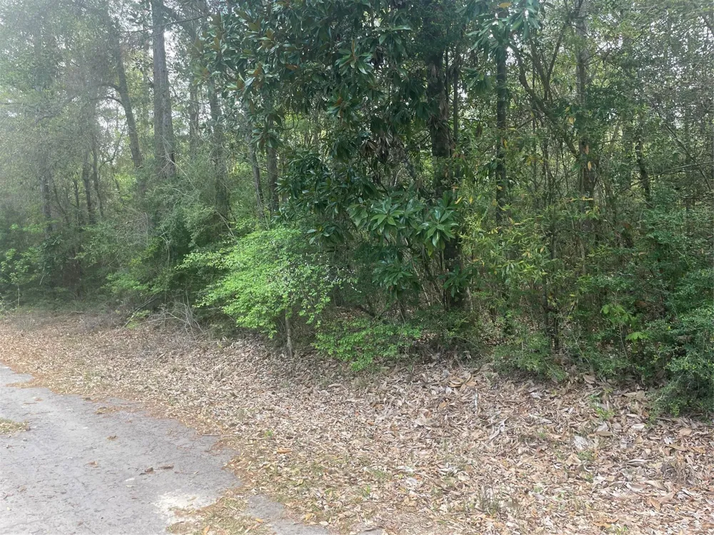 8 Chestnut Circle Village Mills, TX 77663