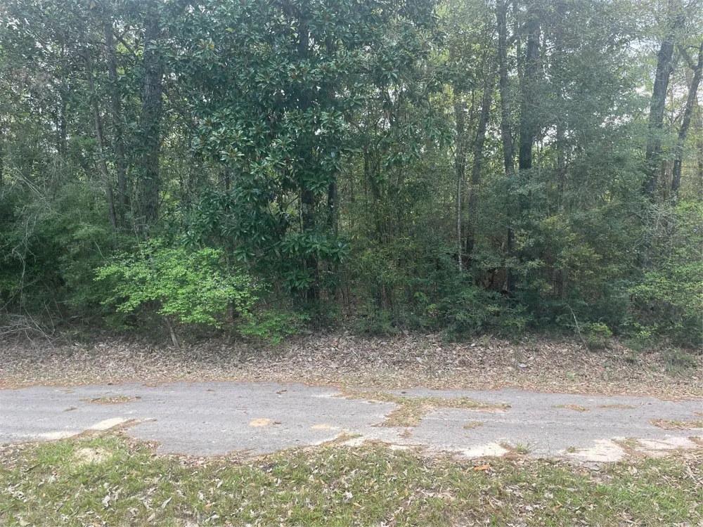 8 Chestnut Circle Village Mills, TX 77663