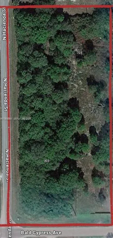 303 Bald Cypress