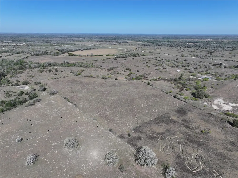 CR 406/Branecky Road Other, TX 78629