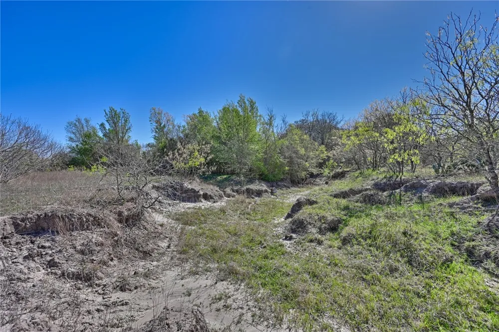 CR 406/Branecky Road Other, TX 78629