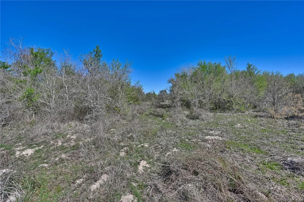 CR 406/Branecky Road Other, TX 78629