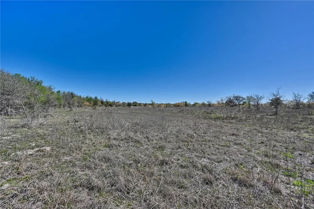CR 406/Branecky Road Other, TX 78629