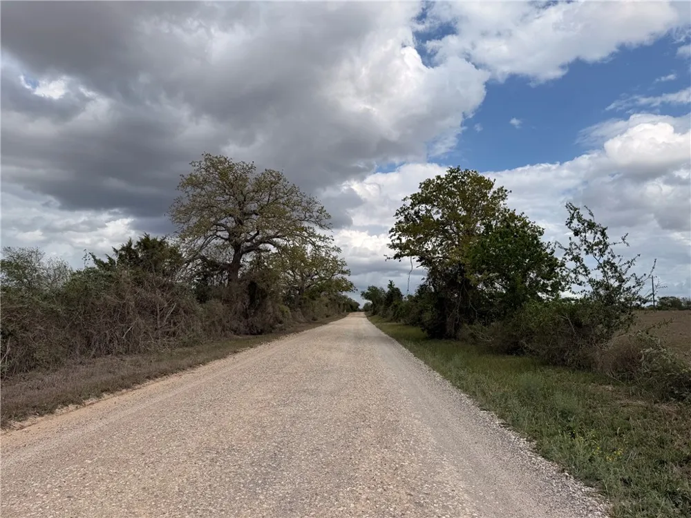 CR 406/Branecky Road Other, TX 78629