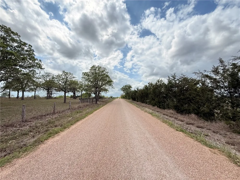 CR 406/Branecky Road Other, TX 78629