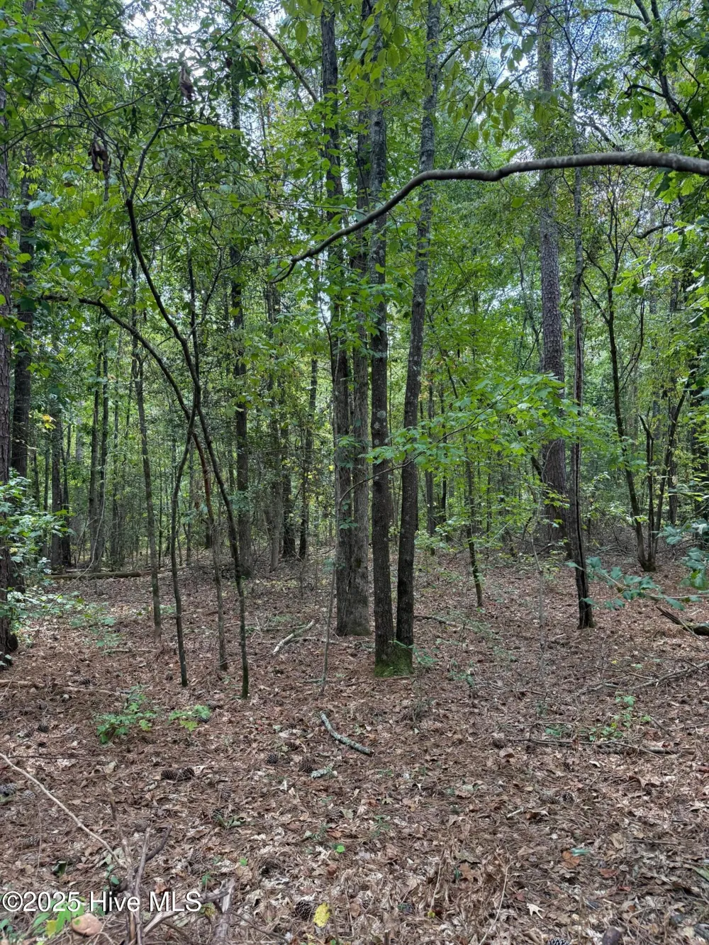 122 State Lane Rockingham, NC 28379